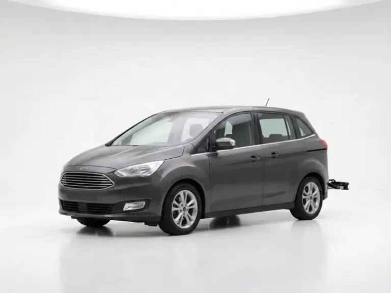 Ford Grand C Max — 2010-2019