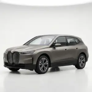 Attelage Col de cygne démontable (avec outils) — réf B-102 Steinhof